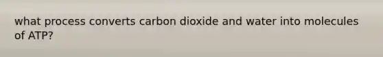 what process converts carbon dioxide and water into molecules of ATP?