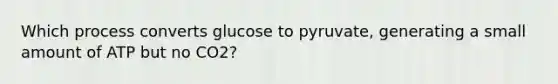 Which process converts glucose to pyruvate, generating a small amount of ATP but no CO2?