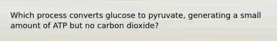 Which process converts glucose to pyruvate, generating a small amount of ATP but no carbon dioxide?