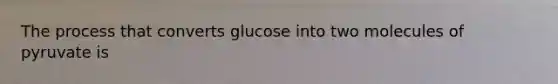 The process that converts glucose into two molecules of pyruvate is