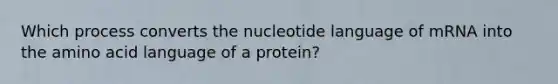 Which process converts the nucleotide language of mRNA into the amino acid language of a protein?