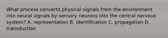 What process converts physical signals from the environment into neural signals by sensory neurons into the central nervous system? A. representation B. identification C. propagation D. transduction