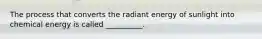 The process that converts the radiant energy of sunlight into chemical energy is called __________.