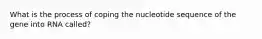 What is the process of coping the nucleotide sequence of the gene into RNA called?