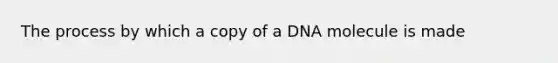 The process by which a copy of a DNA molecule is made