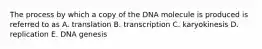 The process by which a copy of the DNA molecule is produced is referred to as A. translation B. transcription C. karyokinesis D. replication E. DNA genesis