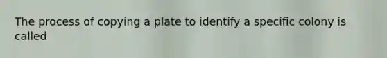 The process of copying a plate to identify a specific colony is called