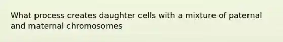 What process creates daughter cells with a mixture of paternal and maternal chromosomes