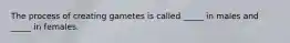 The process of creating gametes is called _____ in males and _____ in females.