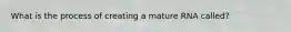 What is the process of creating a mature RNA called?