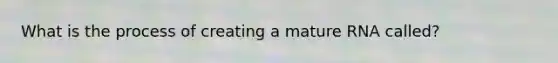 What is the process of creating a mature RNA called?