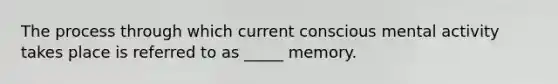 The process through which current conscious mental activity takes place is referred to as _____ memory.