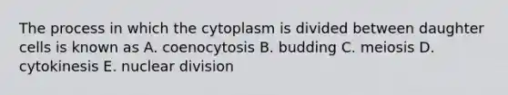 The process in which the cytoplasm is divided between daughter cells is known as A. coenocytosis B. budding C. meiosis D. cytokinesis E. nuclear division