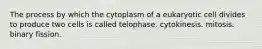 The process by which the cytoplasm of a eukaryotic cell divides to produce two cells is called telophase. cytokinesis. mitosis. binary fission.