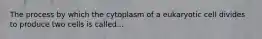 The process by which the cytoplasm of a eukaryotic cell divides to produce two cells is called...