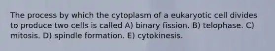 The process by which the cytoplasm of a eukaryotic cell divides to produce two cells is called A) binary fission. B) telophase. C) mitosis. D) spindle formation. E) cytokinesis.