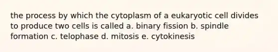 the process by which the cytoplasm of a eukaryotic cell divides to produce two cells is called a. binary fission b. spindle formation c. telophase d. mitosis e. cytokinesis