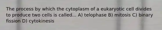 The process by which the cytoplasm of a eukaryotic cell divides to produce two cells is called... A) telophase B) mitosis C) binary fission D) cytokinesis