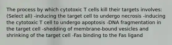 The process by which cytotoxic T cells kill their targets involves: (Select all) -inducing the target cell to undergo necrosis -inducing the cytotoxic T cell to undergo apoptosis -DNA fragmentation in the target cell -shedding of membrane-bound vesicles and shrinking of the target cell -Fas binding to the Fas ligand