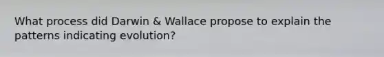 What process did Darwin & Wallace propose to explain the patterns indicating evolution?