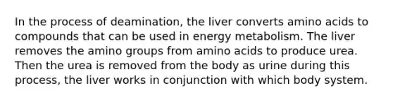 In the process of deamination, the liver converts amino acids to compounds that can be used in energy metabolism. The liver removes the amino groups from amino acids to produce urea. Then the urea is removed from the body as urine during this process, the liver works in conjunction with which body system.