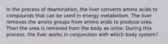 In the process of deamination, the liver converts amino acids to compounds that can be used in energy metabolism. The liver removes the amino groups from amino acids to produce urea. Then the urea is removed from the body as urine. During this process, the liver works in conjunction with which body system?