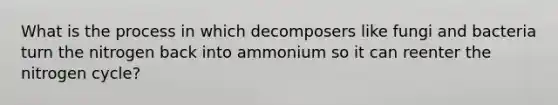 What is the process in which decomposers like fungi and bacteria turn the nitrogen back into ammonium so it can reenter the nitrogen cycle?