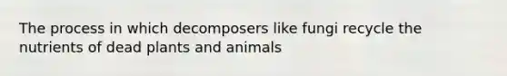 The process in which decomposers like fungi recycle the nutrients of dead plants and animals