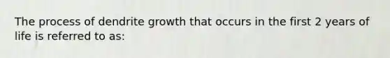 The process of dendrite growth that occurs in the first 2 years of life is referred to as: