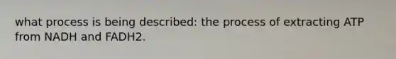 what process is being described: the process of extracting ATP from NADH and FADH2.