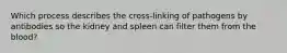 Which process describes the cross-linking of pathogens by antibodies so the kidney and spleen can filter them from the blood?