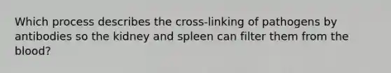 Which process describes the cross-linking of pathogens by antibodies so the kidney and spleen can filter them from the blood?