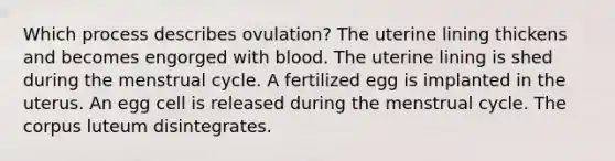 Which process describes ovulation? The uterine lining thickens and becomes engorged with blood. The uterine lining is shed during the <a href='https://www.questionai.com/knowledge/kJikTyGkTY-menstrual-cycle' class='anchor-knowledge'>menstrual cycle</a>. A fertilized egg is implanted in the uterus. An egg cell is released during the menstrual cycle. The corpus luteum disintegrates.