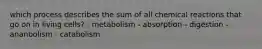 which process describes the sum of all chemical reactions that go on in living cells? - metabolism - absorption - digestion - ananbolism - catabolism