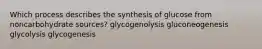 Which process describes the synthesis of glucose from noncarbohydrate sources? glycogenolysis gluconeogenesis glycolysis glycogenesis