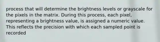 process that will determine the brightness levels or grayscale for the pixels in the matrix. During this process, each pixel, representing a brightness value, is assigned a numeric value. This reflects the precision with which each sampled point is recorded