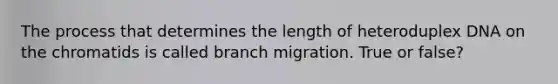 The process that determines the length of heteroduplex DNA on the chromatids is called branch migration. True or false?