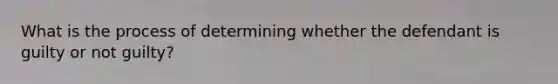What is the process of determining whether the defendant is guilty or not guilty?