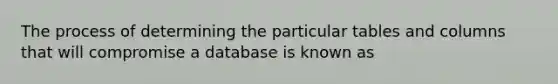 The process of determining the particular tables and columns that will compromise a database is known as