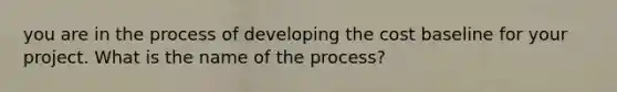 you are in the process of developing the cost baseline for your project. What is the name of the process?