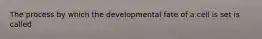 The process by which the developmental fate of a cell is set is called