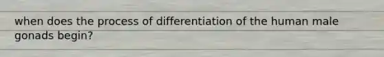 when does the process of differentiation of the human male gonads begin?