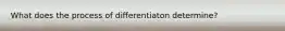 What does the process of differentiaton determine?