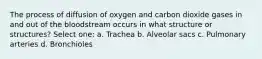 The process of diffusion of oxygen and carbon dioxide gases in and out of the bloodstream occurs in what structure or structures? Select one: a. Trachea b. Alveolar sacs c. Pulmonary arteries d. Bronchioles