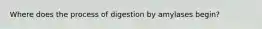 Where does the process of digestion by amylases begin?