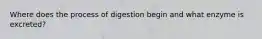 Where does the process of digestion begin and what enzyme is excreted?