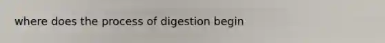 where does the process of digestion begin