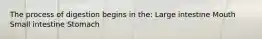 The process of digestion begins in the: Large intestine Mouth Small intestine Stomach