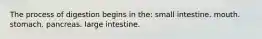 The process of digestion begins in the: small intestine. mouth. stomach. pancreas. large intestine.