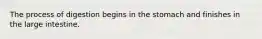 The process of digestion begins in the stomach and finishes in the large intestine.